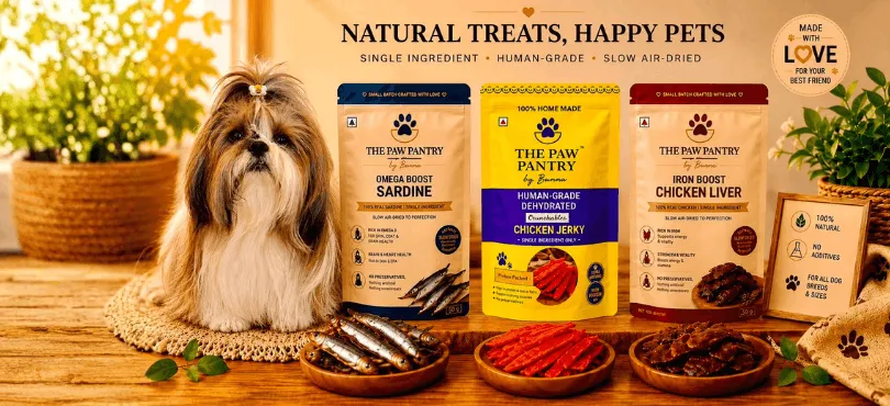 Golden retriever with The Paw Pantry treats